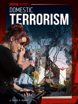 cover image of Domestic Terrorism